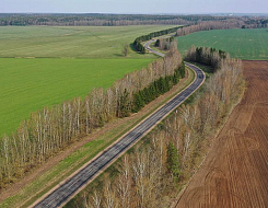 В Гомельской области с начала года вовлекли в сельскохозяйственный оборот свыше 1,8 одной целой восьми десятых тыс. гектаров неиспользуемых земель. 